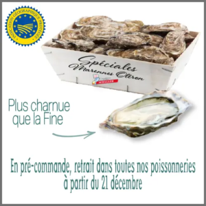 BOURRICHE SPECIALE DE CLAIRE