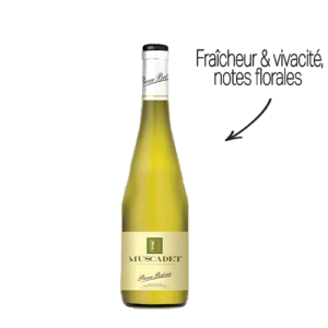 MUSCADET2