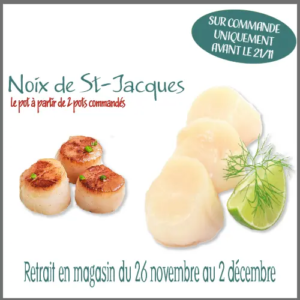 NOIX US NOEL SITE 2 POTS 20242 cadre